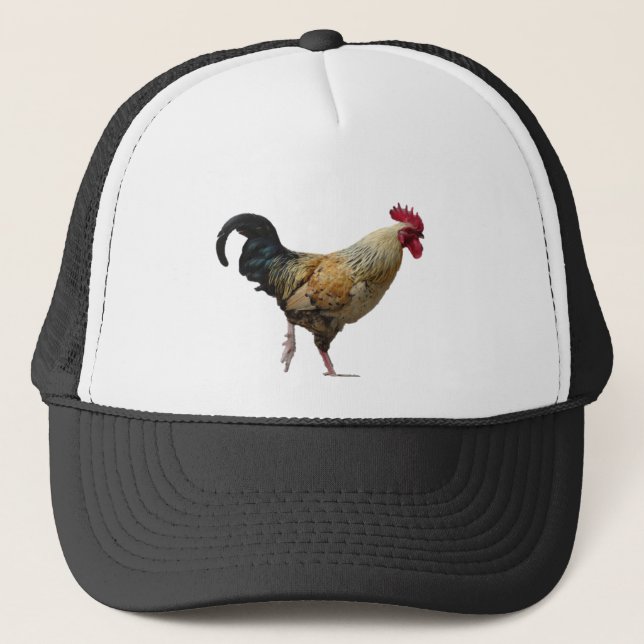 Rooster Hat (Front)