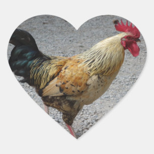 Rooster Heart Sticker