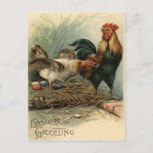 Rooster Hen Easter Coloured Painted Egg Nest Holiday Postcard