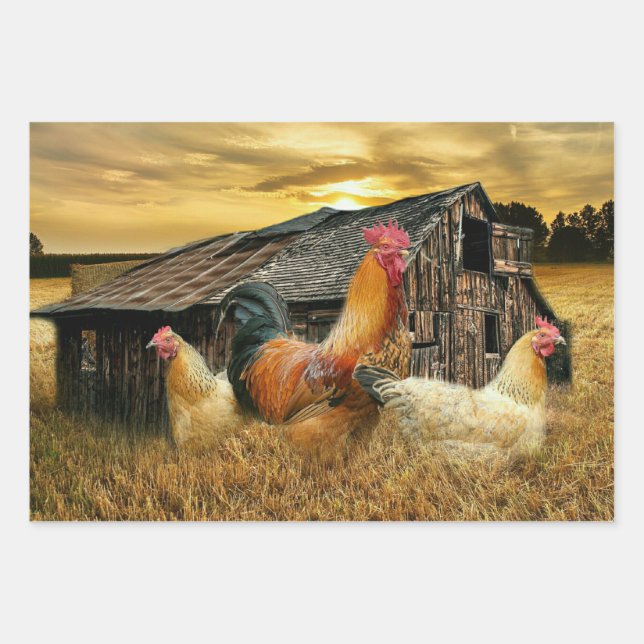 Rooster Hens Rustic Barn Coop Wrapping Paper Sheet (Front)