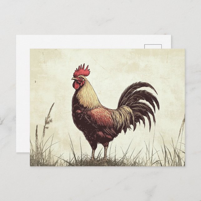 Rooster Illustration Vintage Tone Postcard (Front/Back)