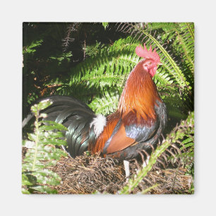 Rooster In The Leaves Magnet