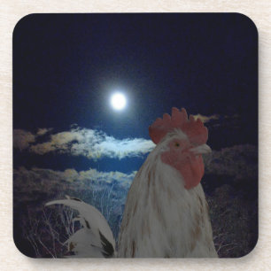 Rooster In The Moonlight, Coasters