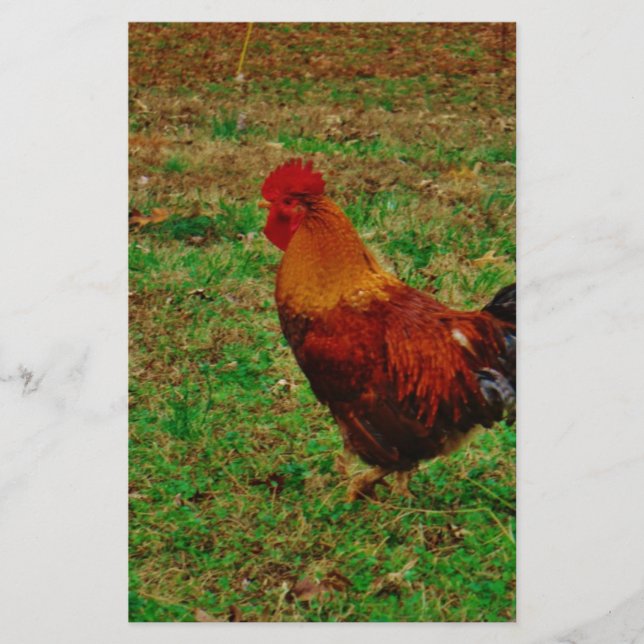 Rooster in the Yard Stationery (Front)