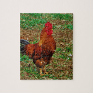 Rooster Jigsaw Puzzle