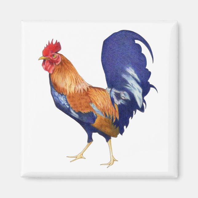Rooster Magnet (Front)