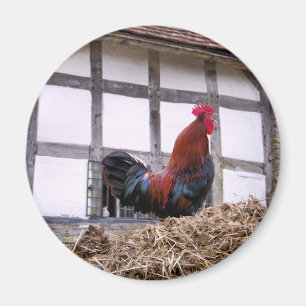 ROOSTER MAGNET