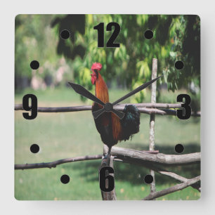 Rooster Morning Square Wall Clock