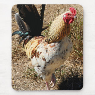 Rooster! Mouse Pad