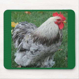 Rooster Mousepad