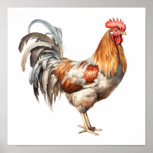 Rooster Neutral Colours Watercolor Painting Poster
