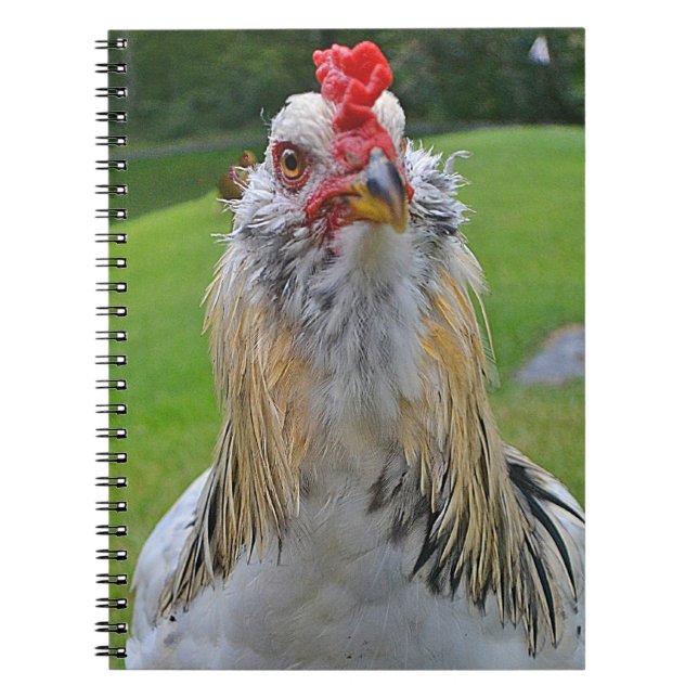 Rooster Notebook (Front)