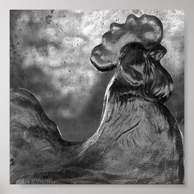 Rooster of Glass Poster (Front)