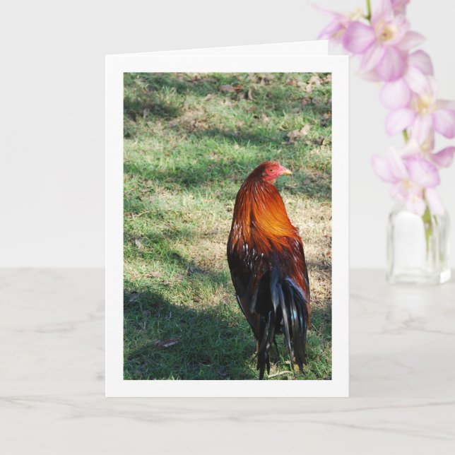 Rooster on Grass Card (Orchid)