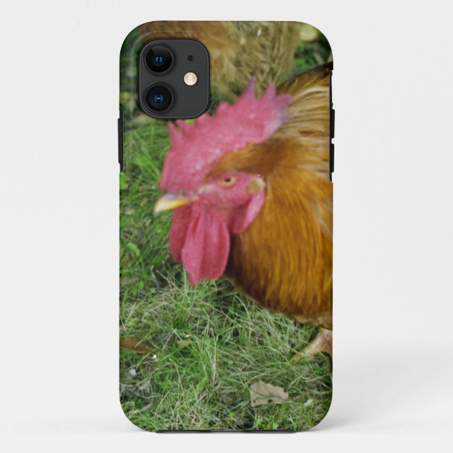 Rooster on the Prowl Case-Mate iPhone Case (Back)