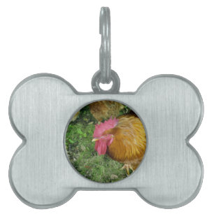 Rooster on the Prowl Pet ID Tag