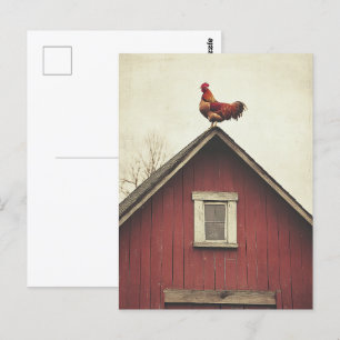 Rooster on the Roof Postcard