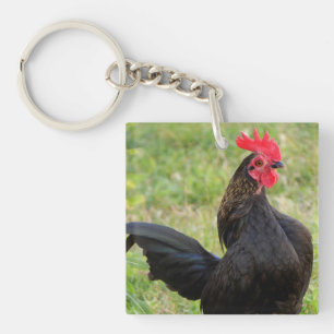 Rooster Portrait Key Ring