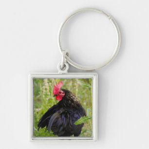 Rooster Portrait Key Ring