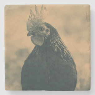Rooster Portrait Stone Coaster