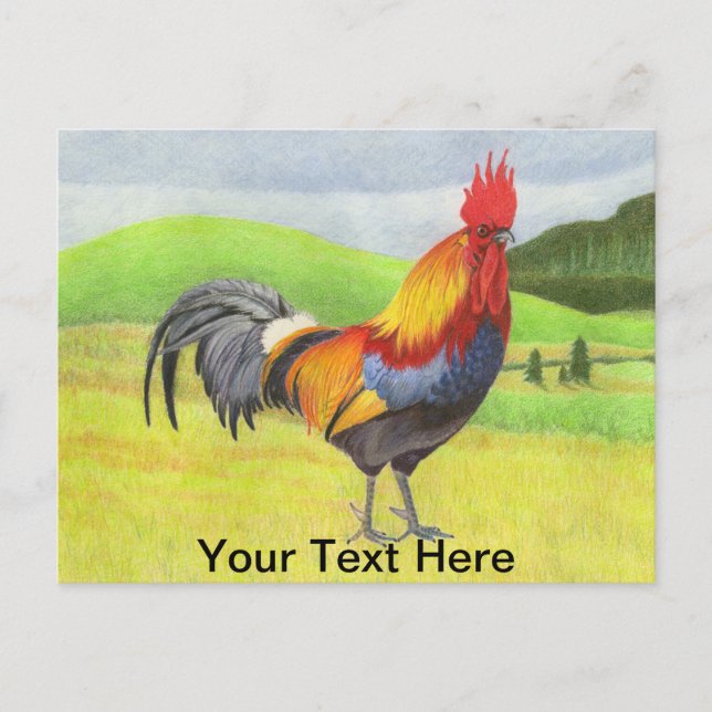 Rooster Postcard (Front)