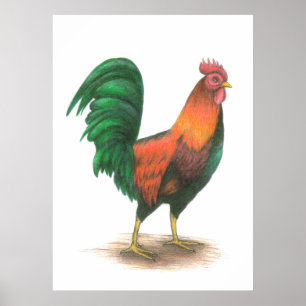 Rooster Poster