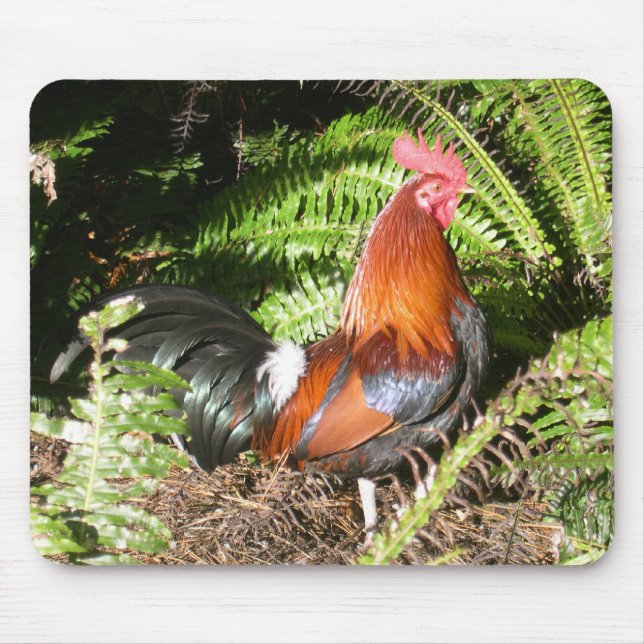 Rooster - Red Jungle Fowl Mouse Pad (Front)