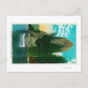 Rooster Rock on Columbia River Postcard