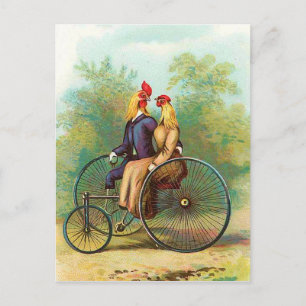 Rooster Romantic Bike Date Postcard