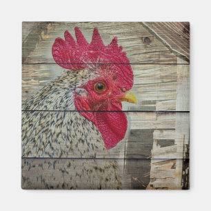 Rooster Rustic Chicken Coop Barn Board Magnet