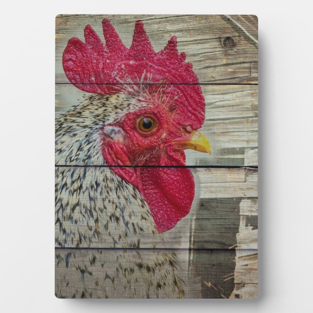 Rooster Rustic Chicken Coop Barn Board Plaque (Front)