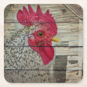 Rooster Rustic Chicken Coop Barn Board Square Paper Coaster