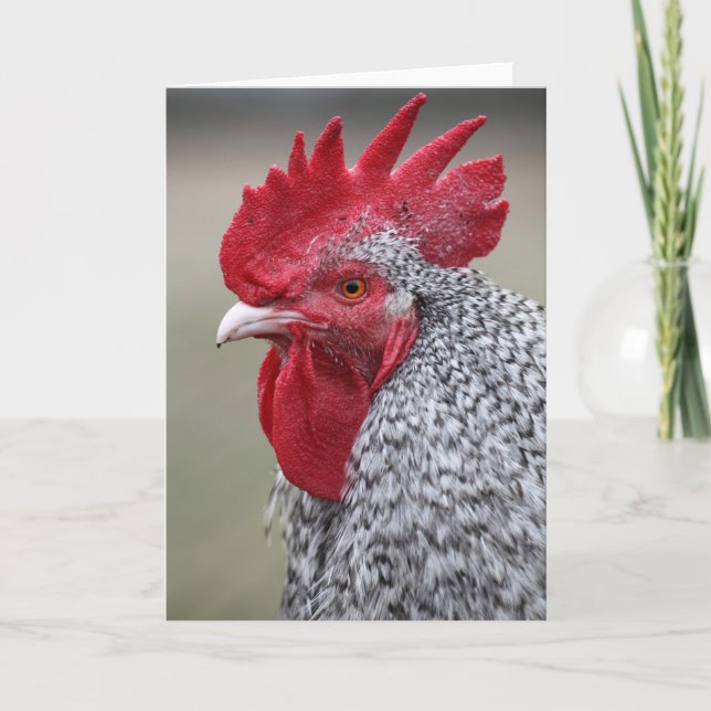 Rooster Says Hi Card (Front)