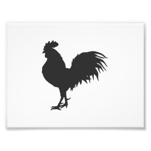 Rooster  silhouette  - Choose background colour Photo Print