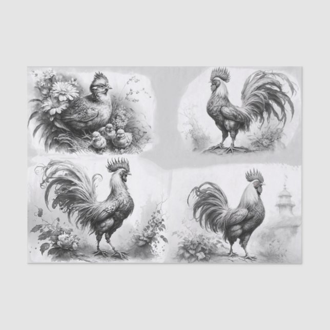 Rooster Sketches Tissue Paper (Front)