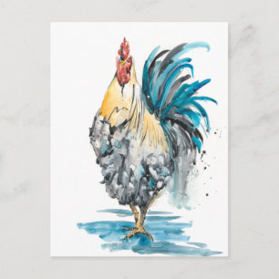 Rooster Splash - Watercolor Portrait Postcard