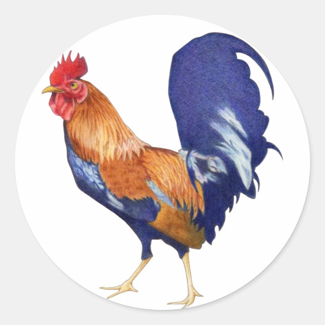 Rooster Sticker (Front)