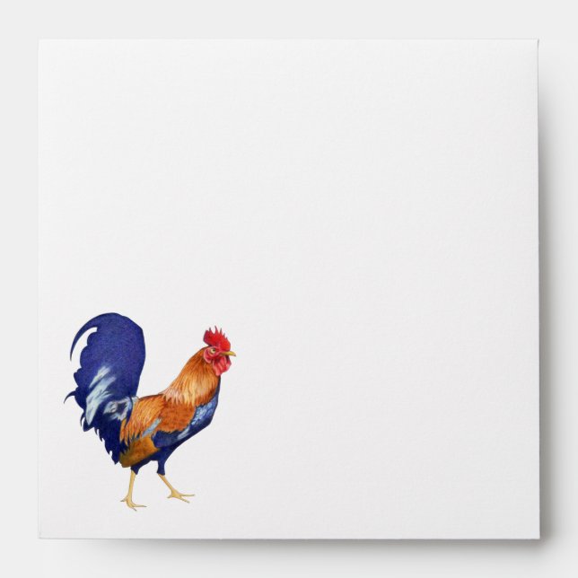 Rooster stripes inside Square Invitation Envelope (Front)