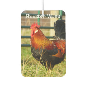 Rooster Vibes / Pigging Out Car Air Freshener