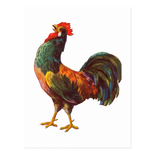 Rooster Vintage Kitchen Crate Art Postcards