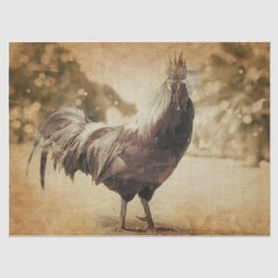 Rooster Vintage Photo Tissue Paper