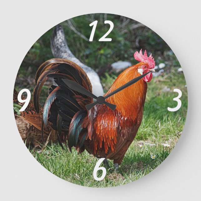 rooster wall clock (Front)