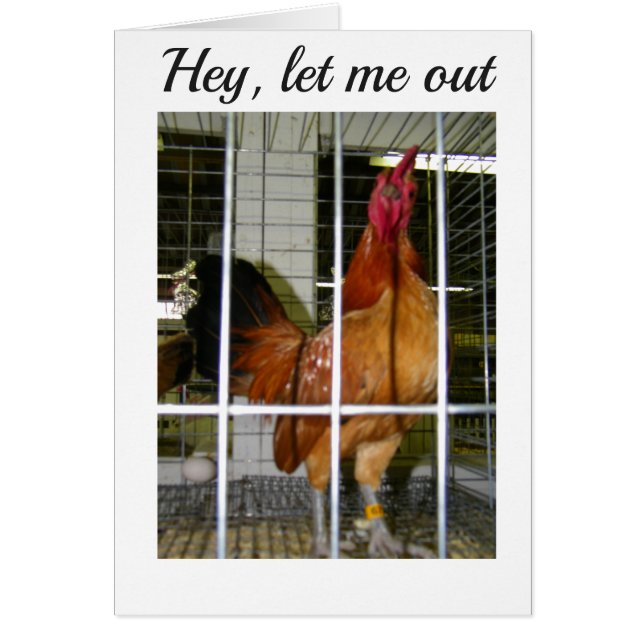 ROOSTER WANT TO SAY HIS BIRTHDAY WISHES TO YOU! (Front)