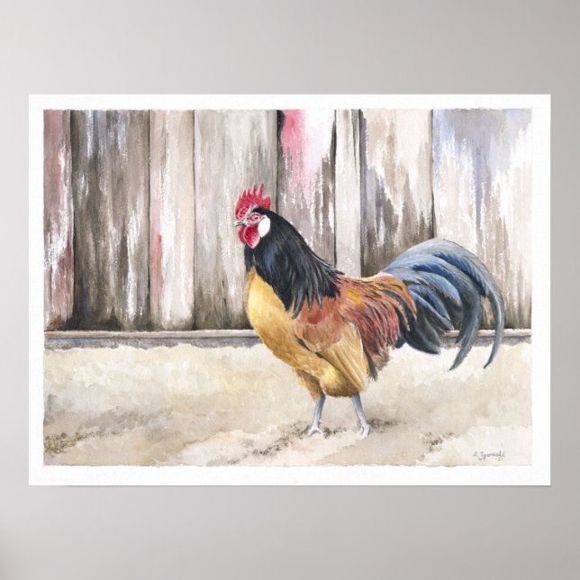 Rooster Watercolor Art Print (Front)