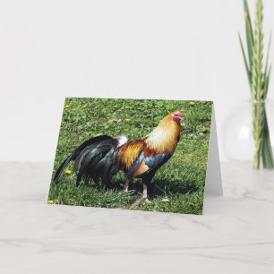 Rooster Watercolor Portrait Blank Greeting Card