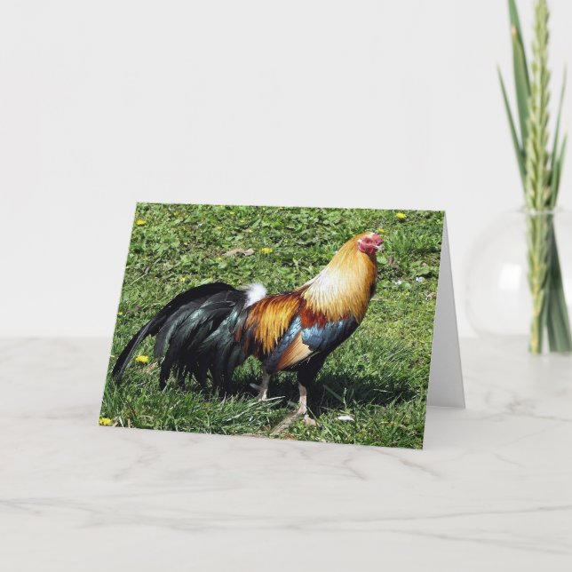 Rooster Watercolor Portrait Blank Greeting Card (Front)