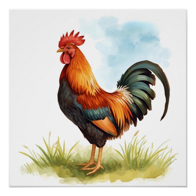 Rooster Watercolor Poster (Front)