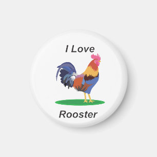 Rooster with feathers of different colours magnet