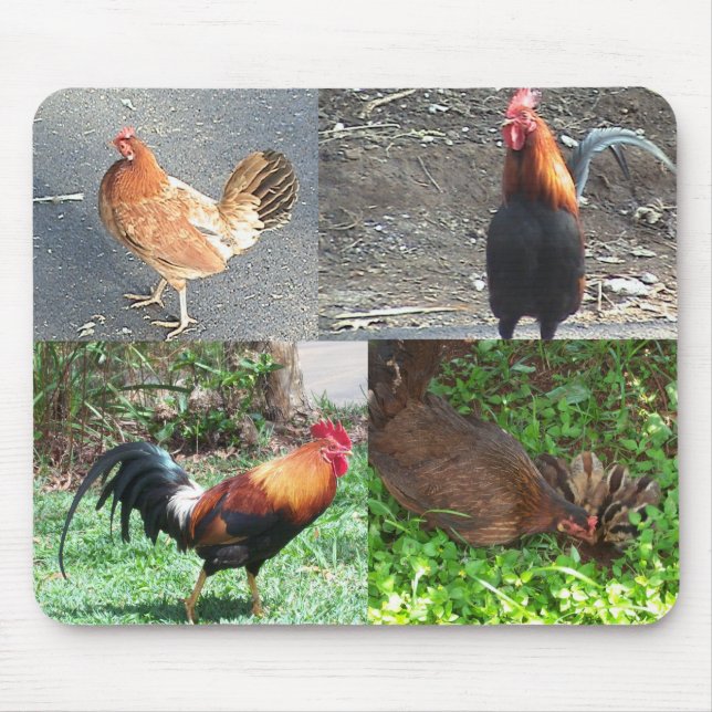Roosters and Hens Mousepad (Front)