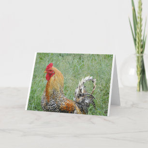 Roosters Card